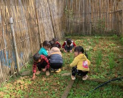 LAO ĐỘNG  DỌN  VỆ SINH   XUNG  QUANH  LỚP HỌC