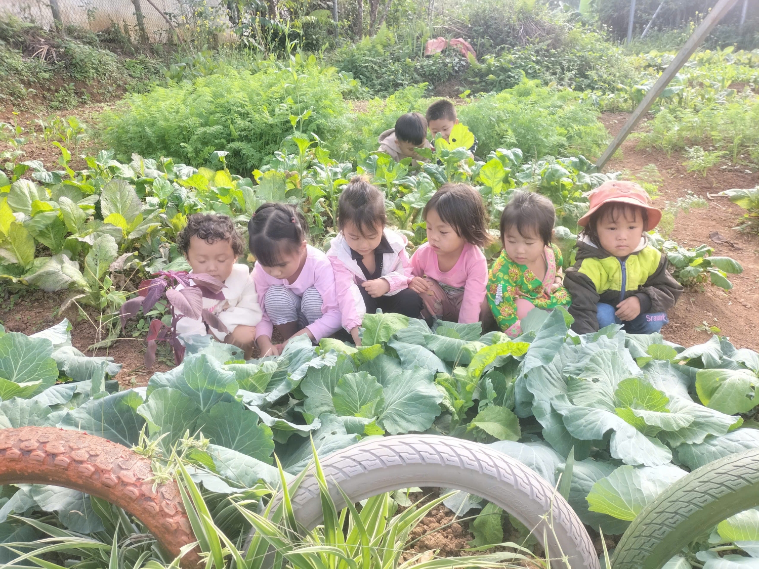 z7403127833429 a6feeb875a5bb5dcb7ae416536399cba