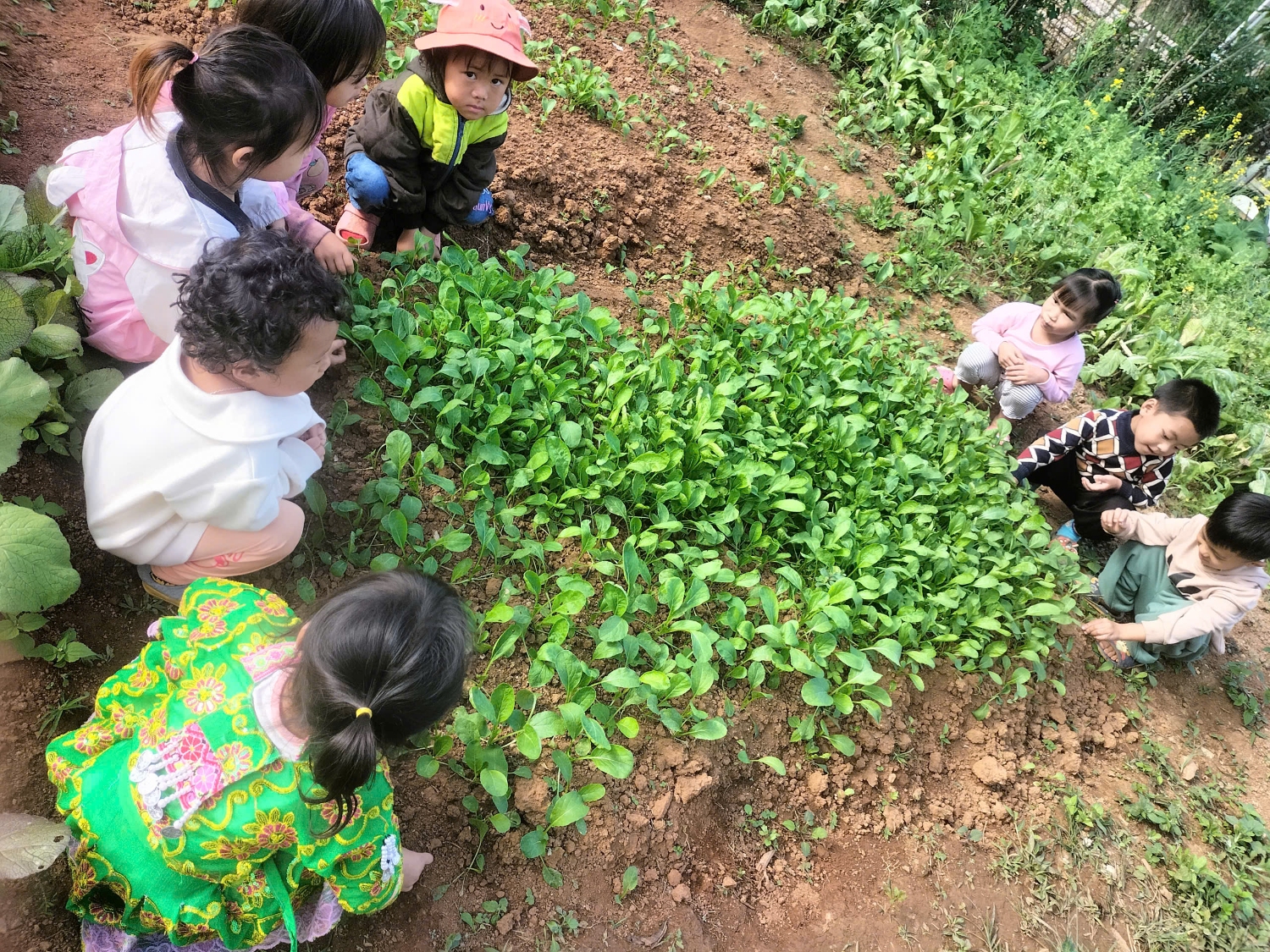 z7403127932775 568f7fbe5105a6adf1e05f5460ffff32