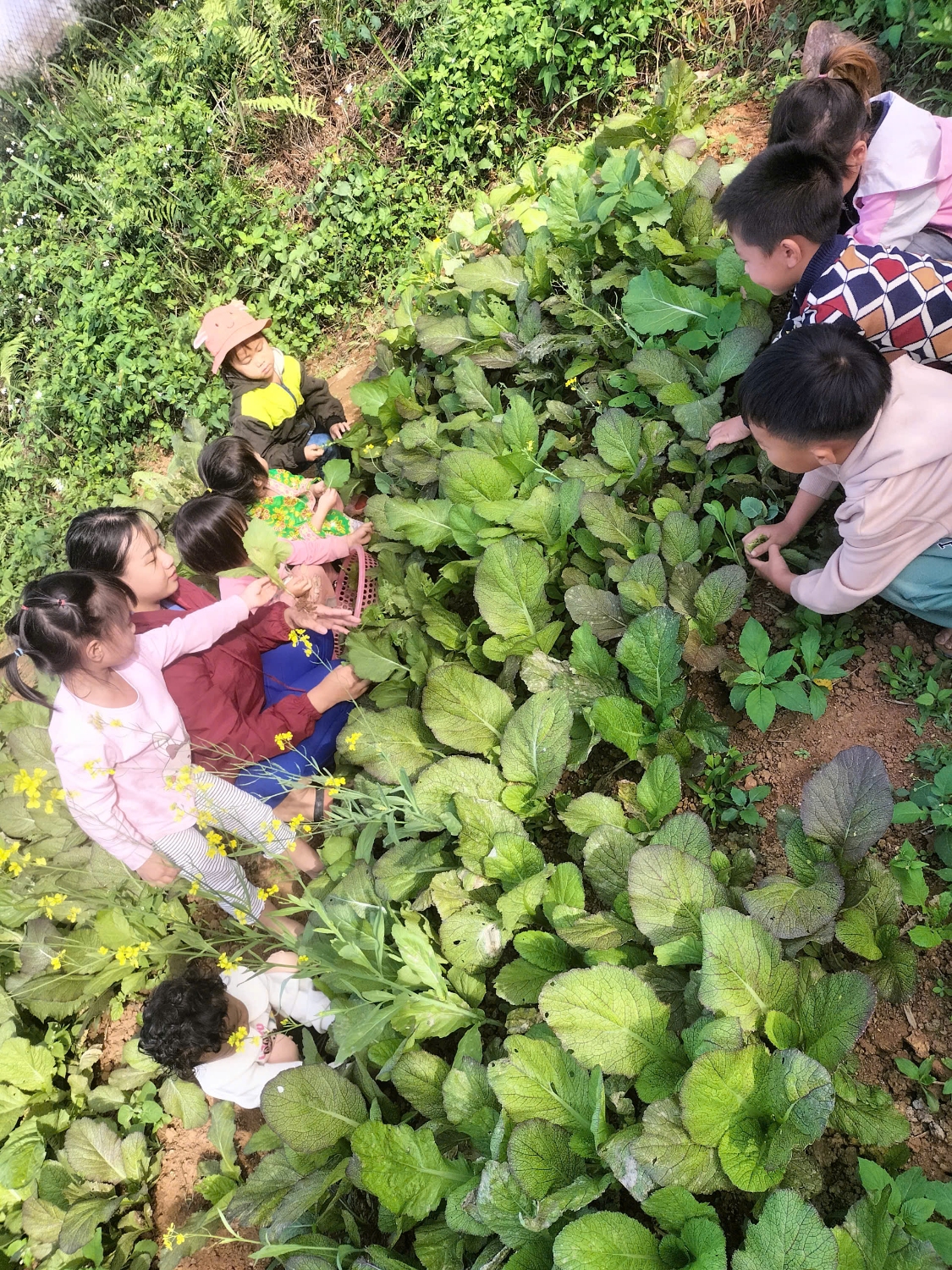 z7403127950037 df2d0d87eb1493dc11949889e80f6635