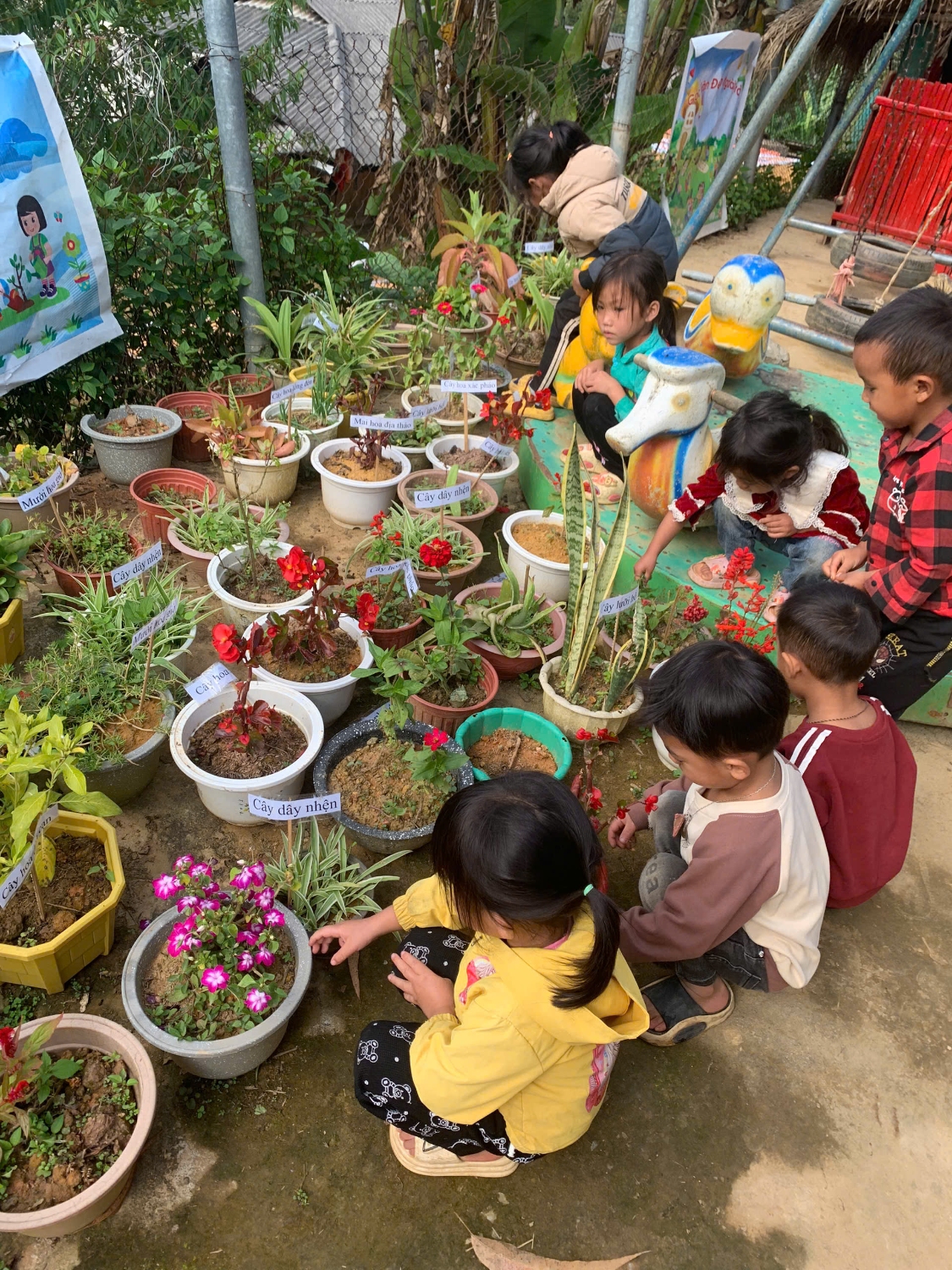 Trẻ nhổ cỏ